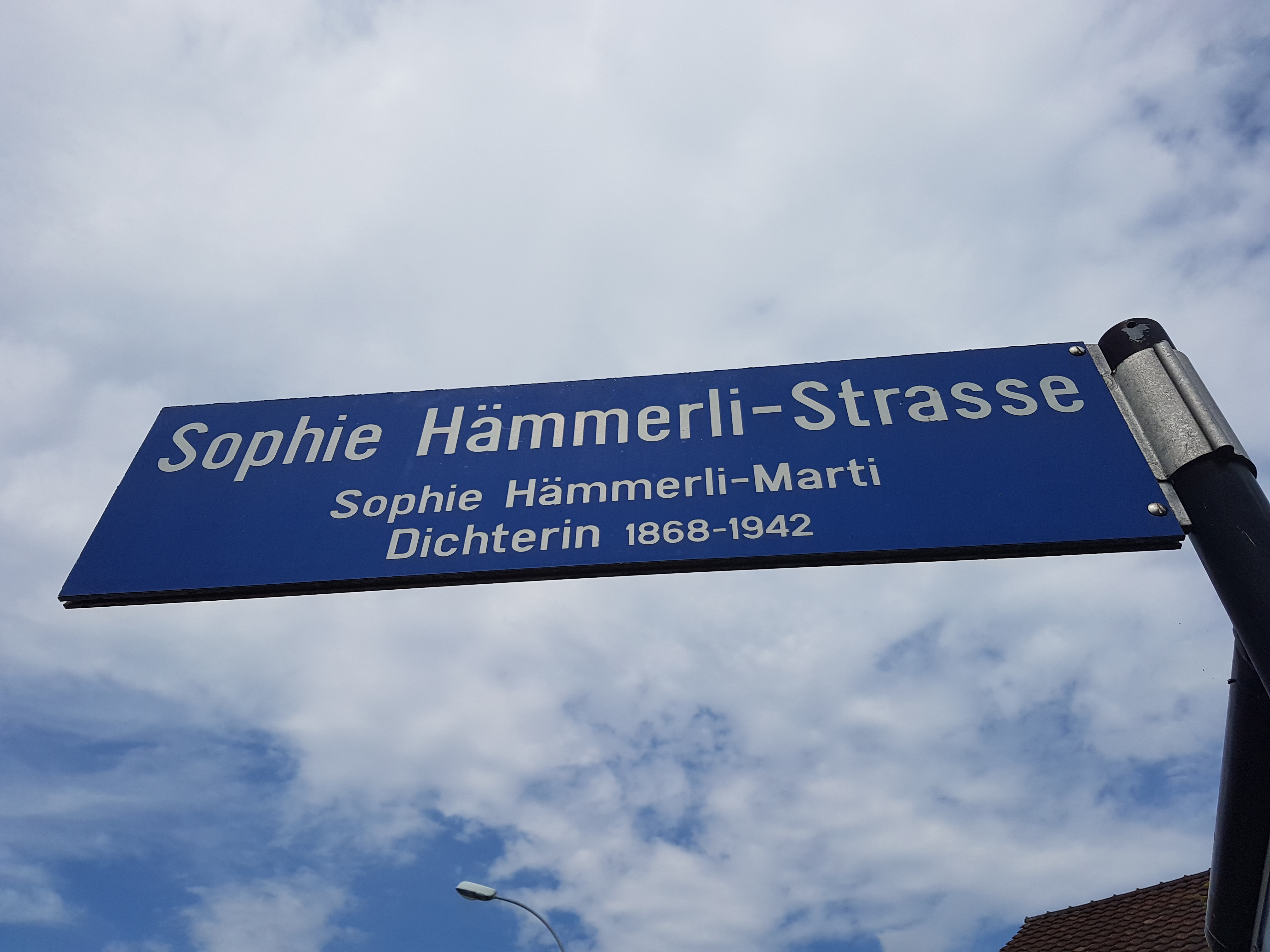 Sophie-Hämmerli-Strasse.jpg#asset:221